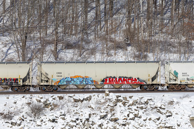 CRDX 11838