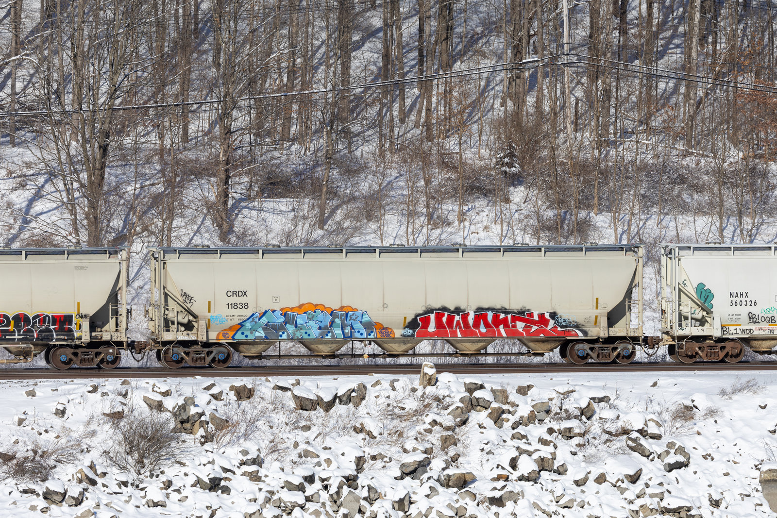 CRDX 11838