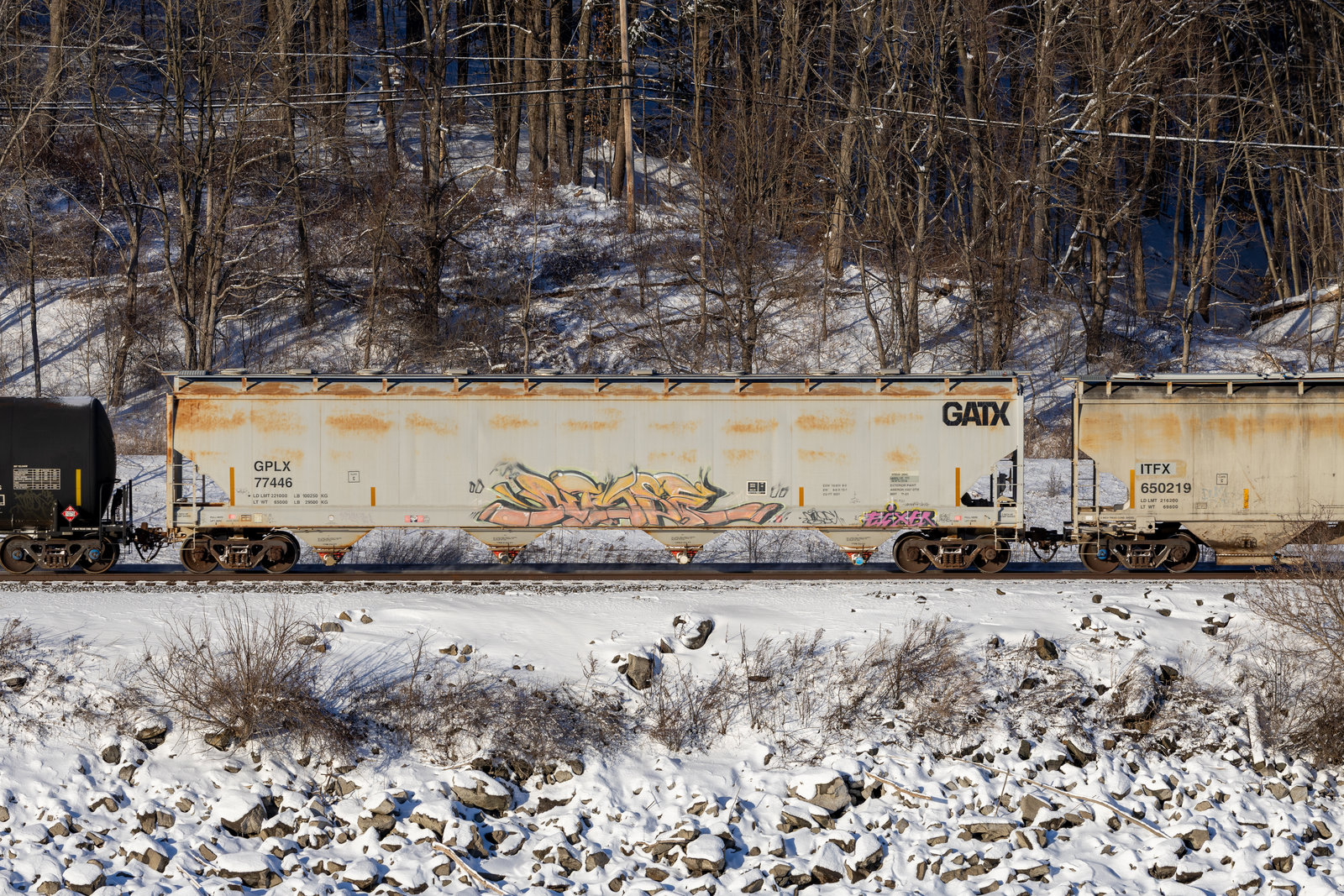 GPLX 77446