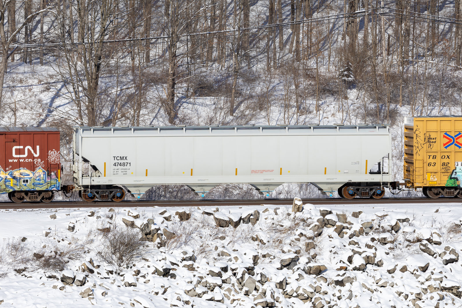 TCMX 474871