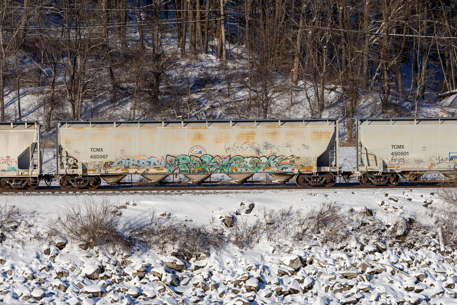 TCMX 450567
