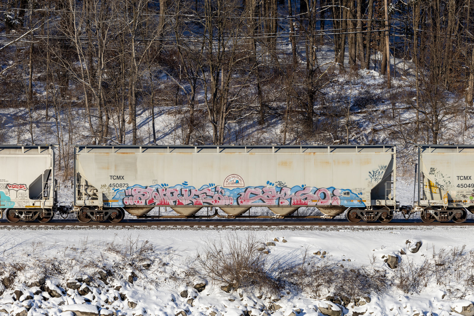 TCMX 450873