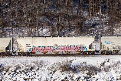 TCMX 451696