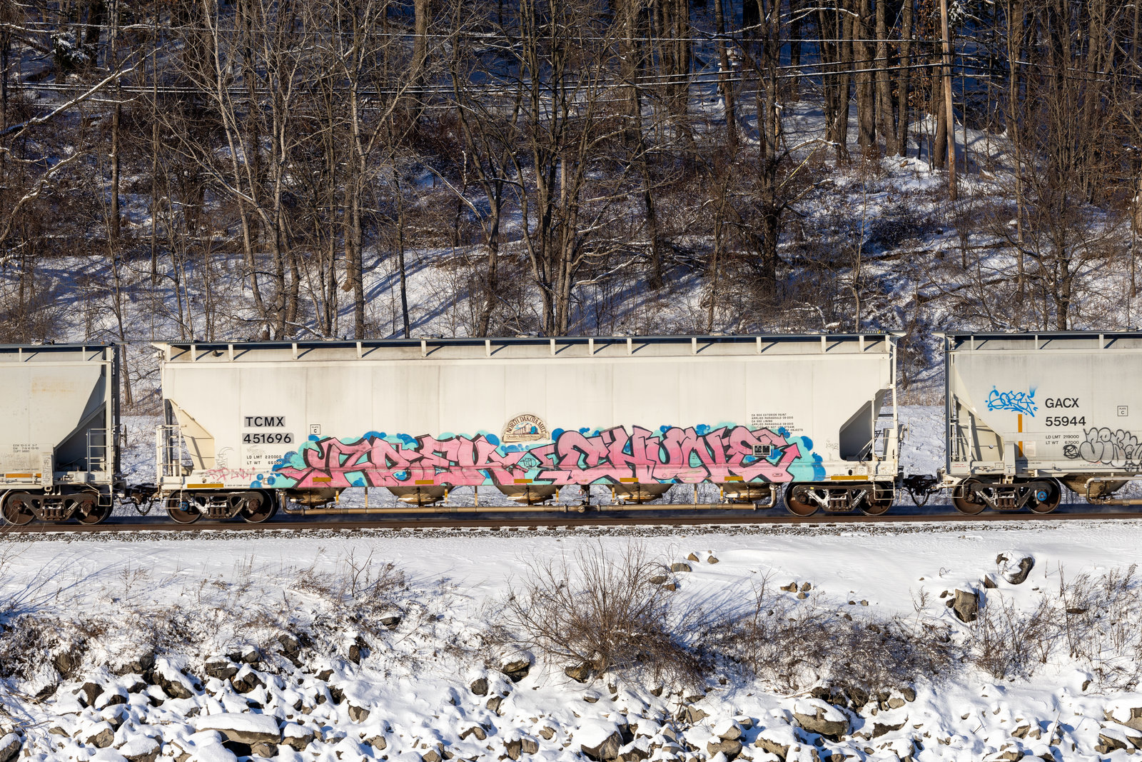 TCMX 451696