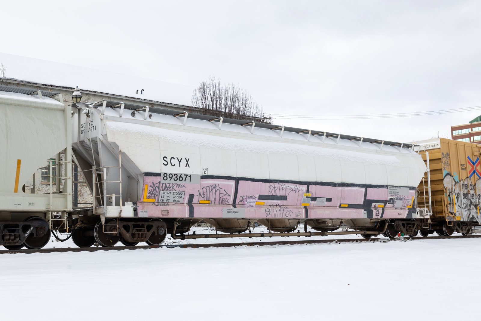 SCYX 893671