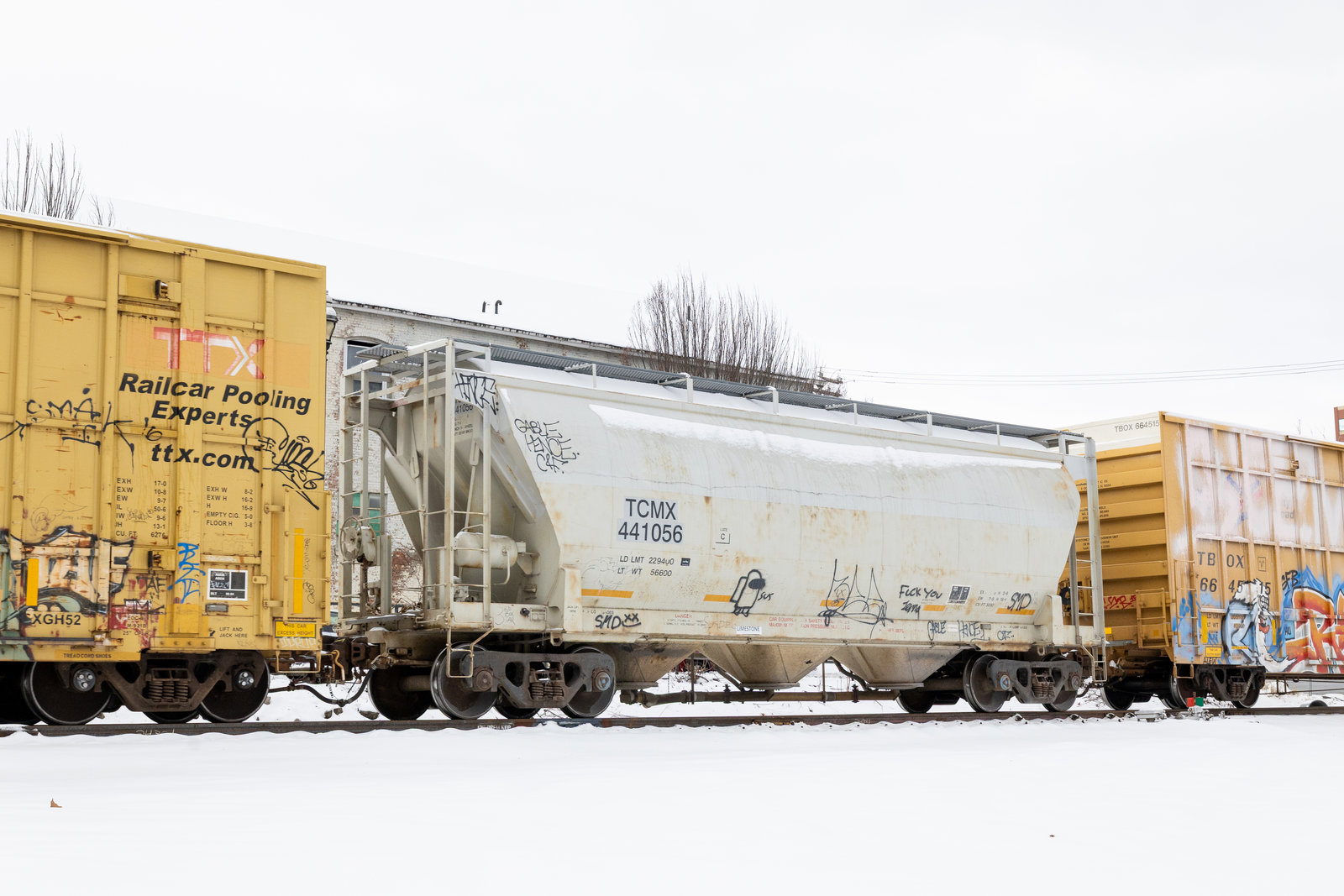 TCMX 441056