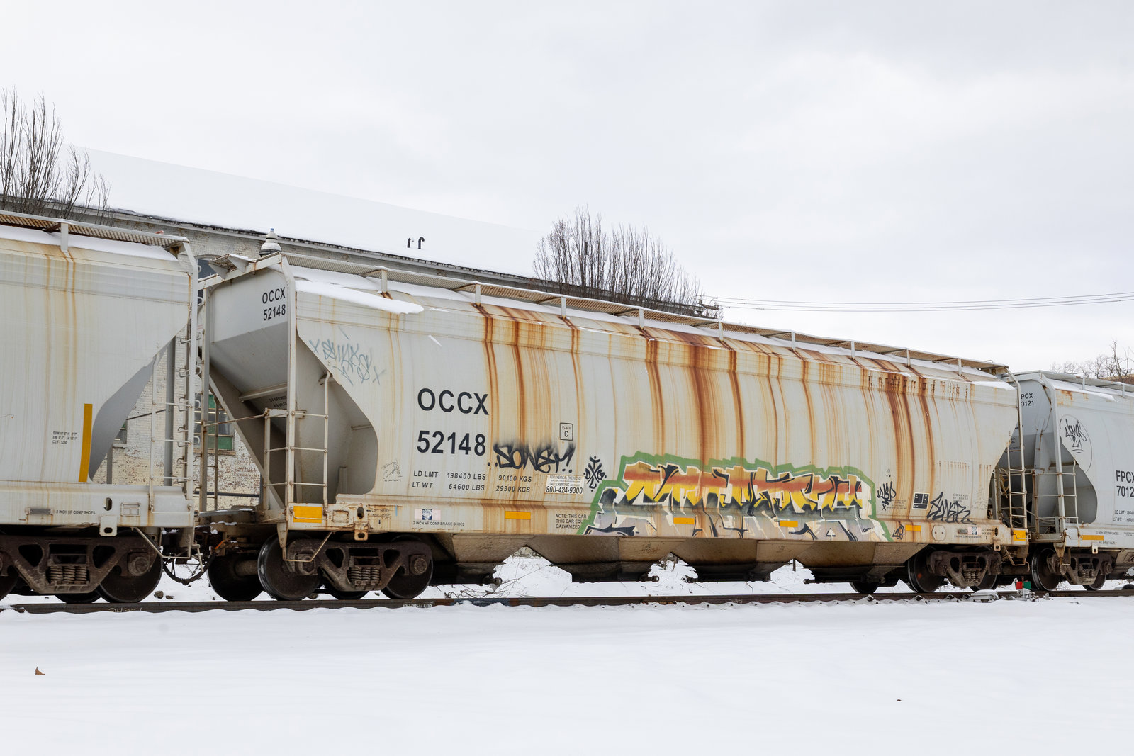 OCCX 52148