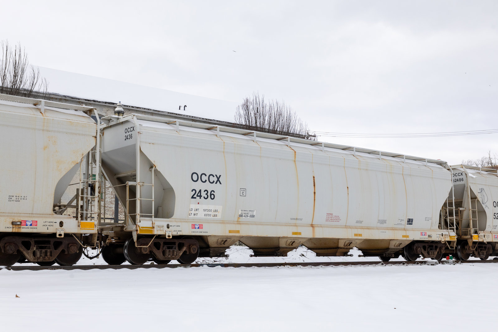 OCCX 2436