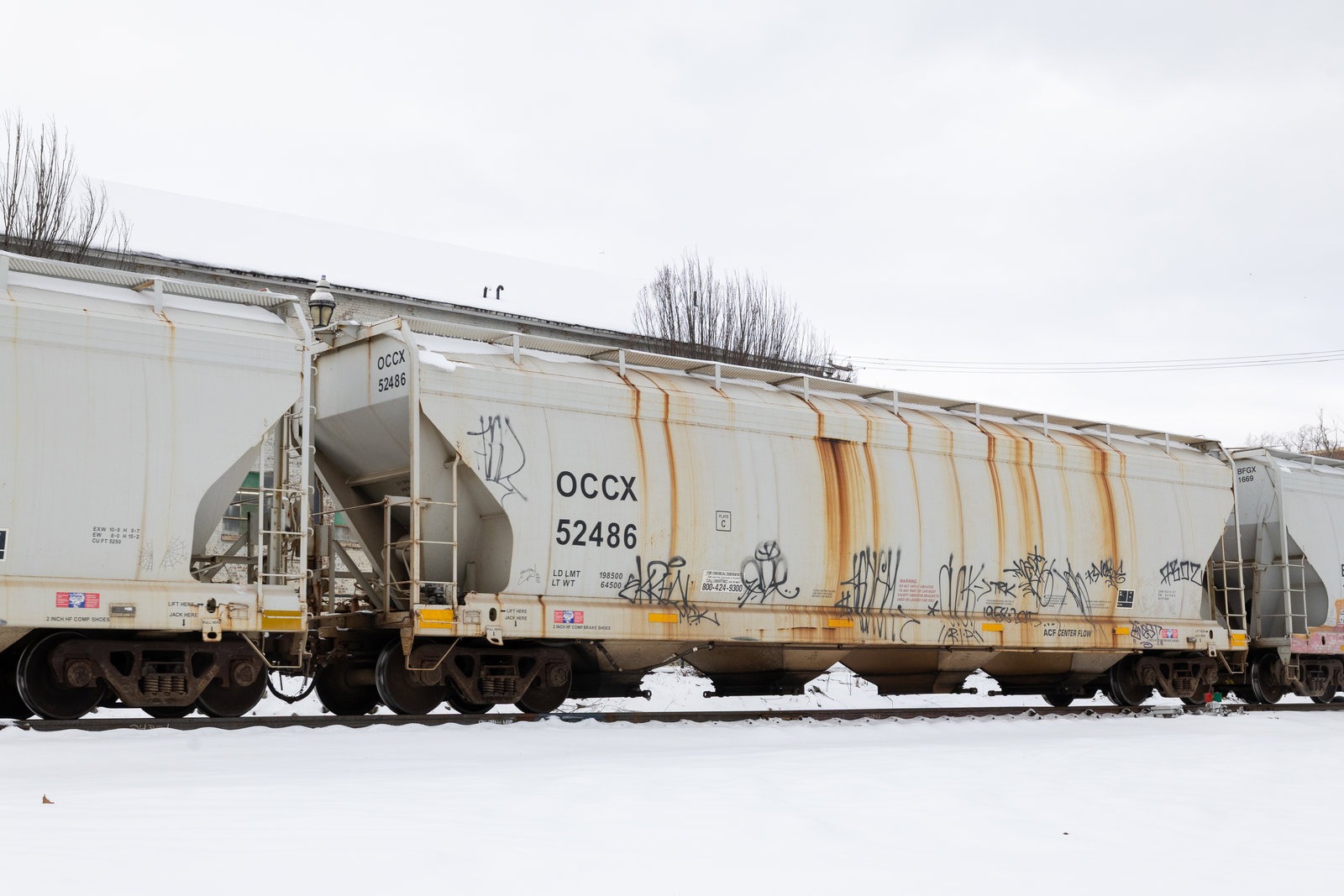 OCCX 52486