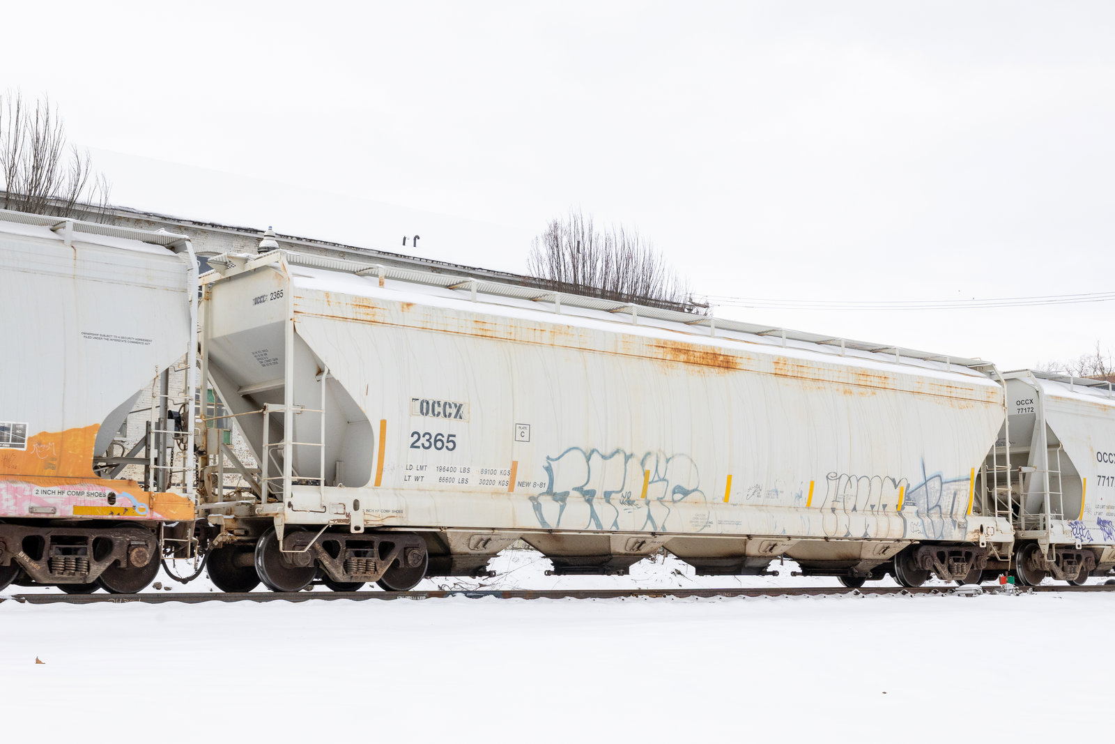 OCCX 2365