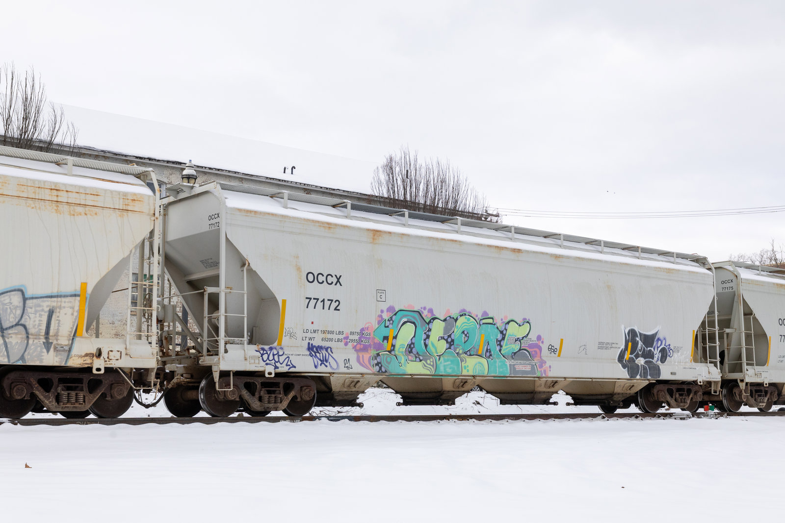 OCCX 77172