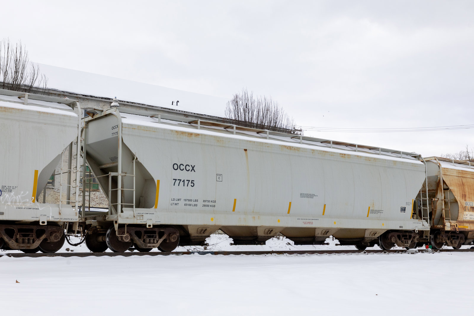 OCCX 77175