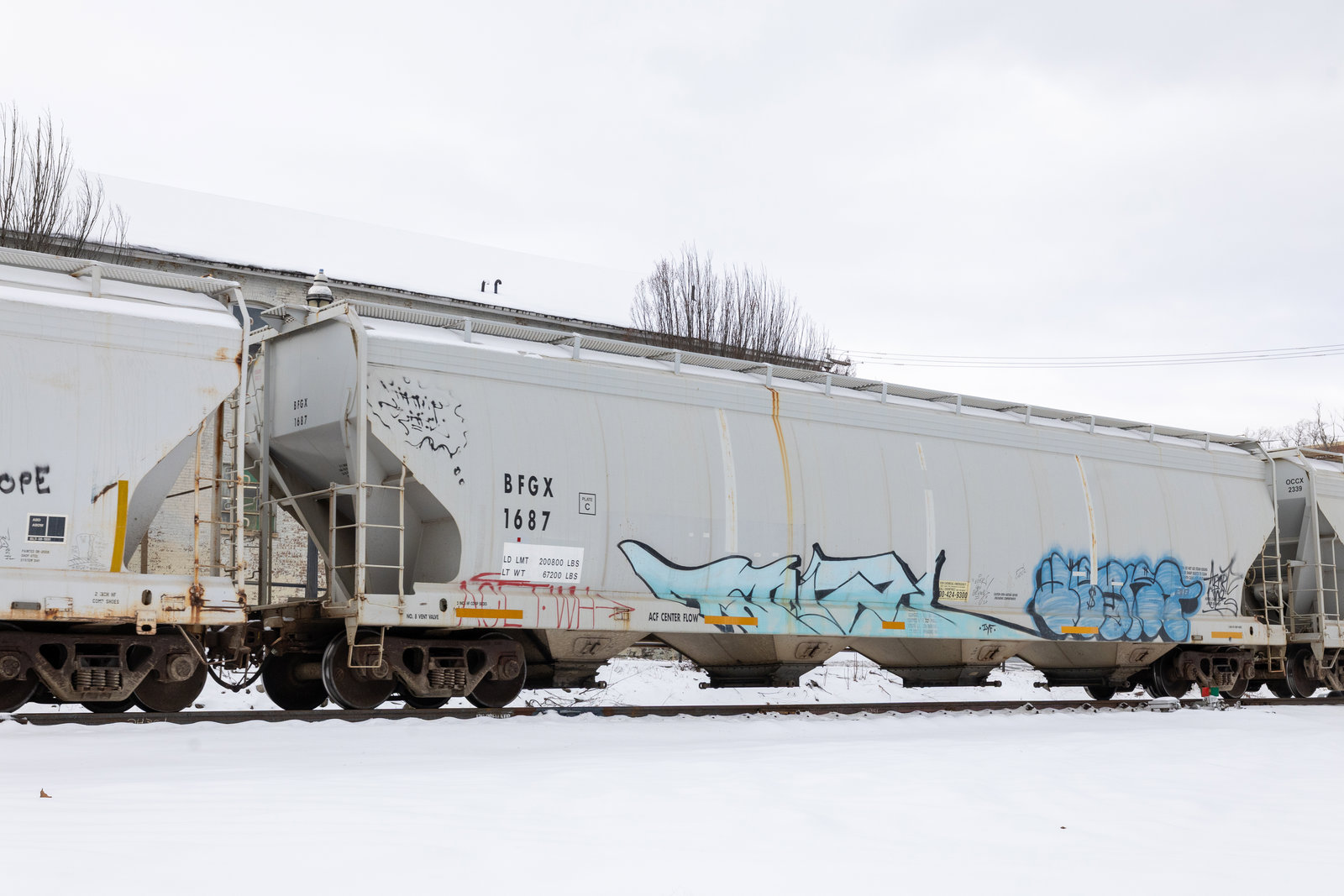 BFGX 1687