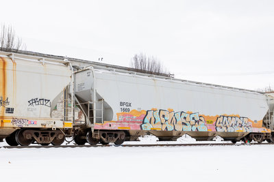 BFGX 1669