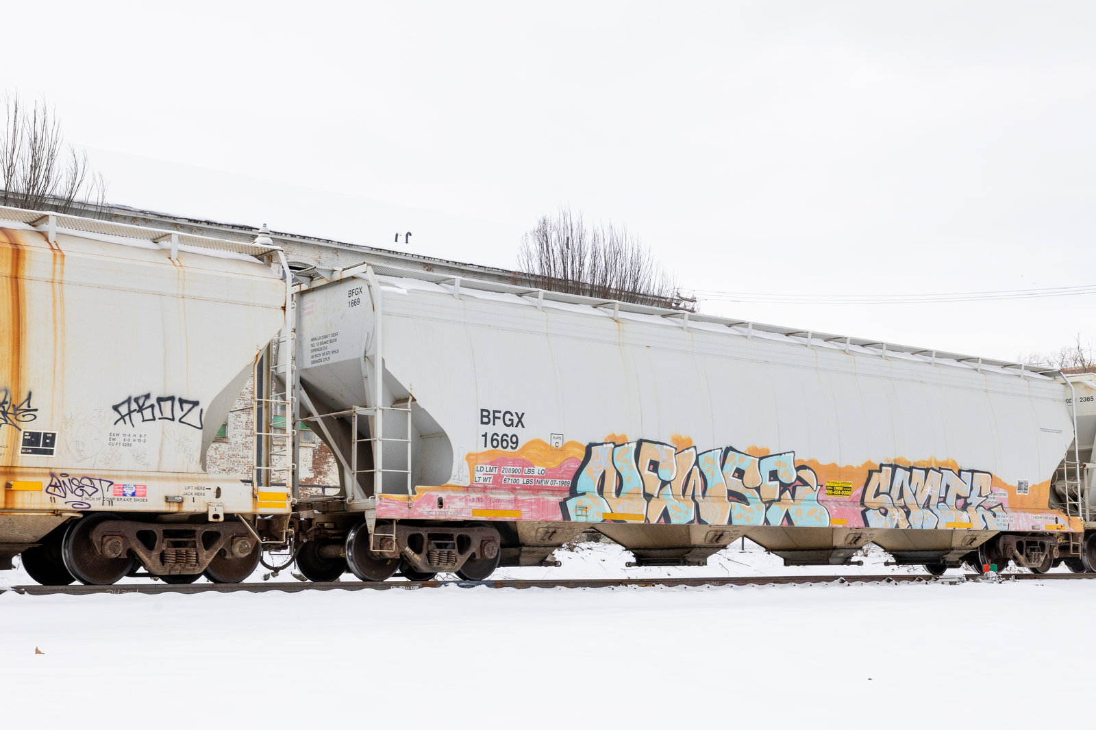 BFGX 1669