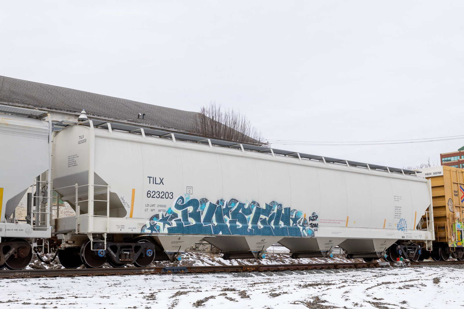 TILX 623203