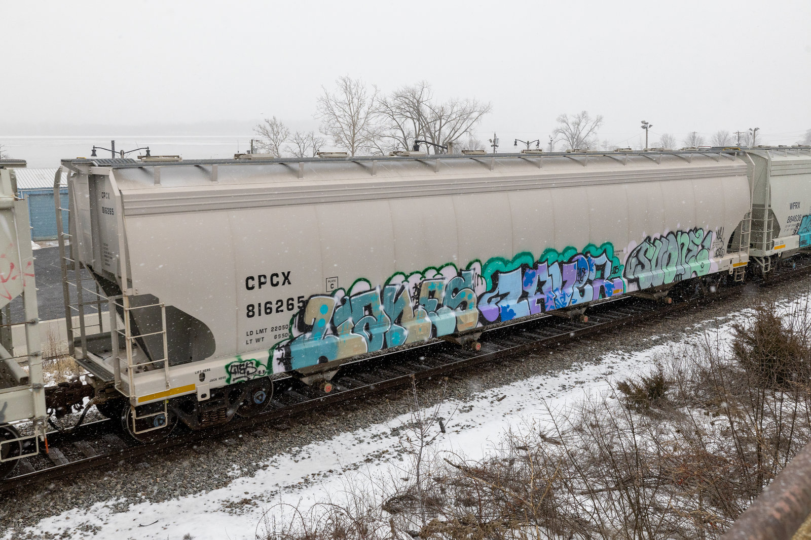 CPCX 816265