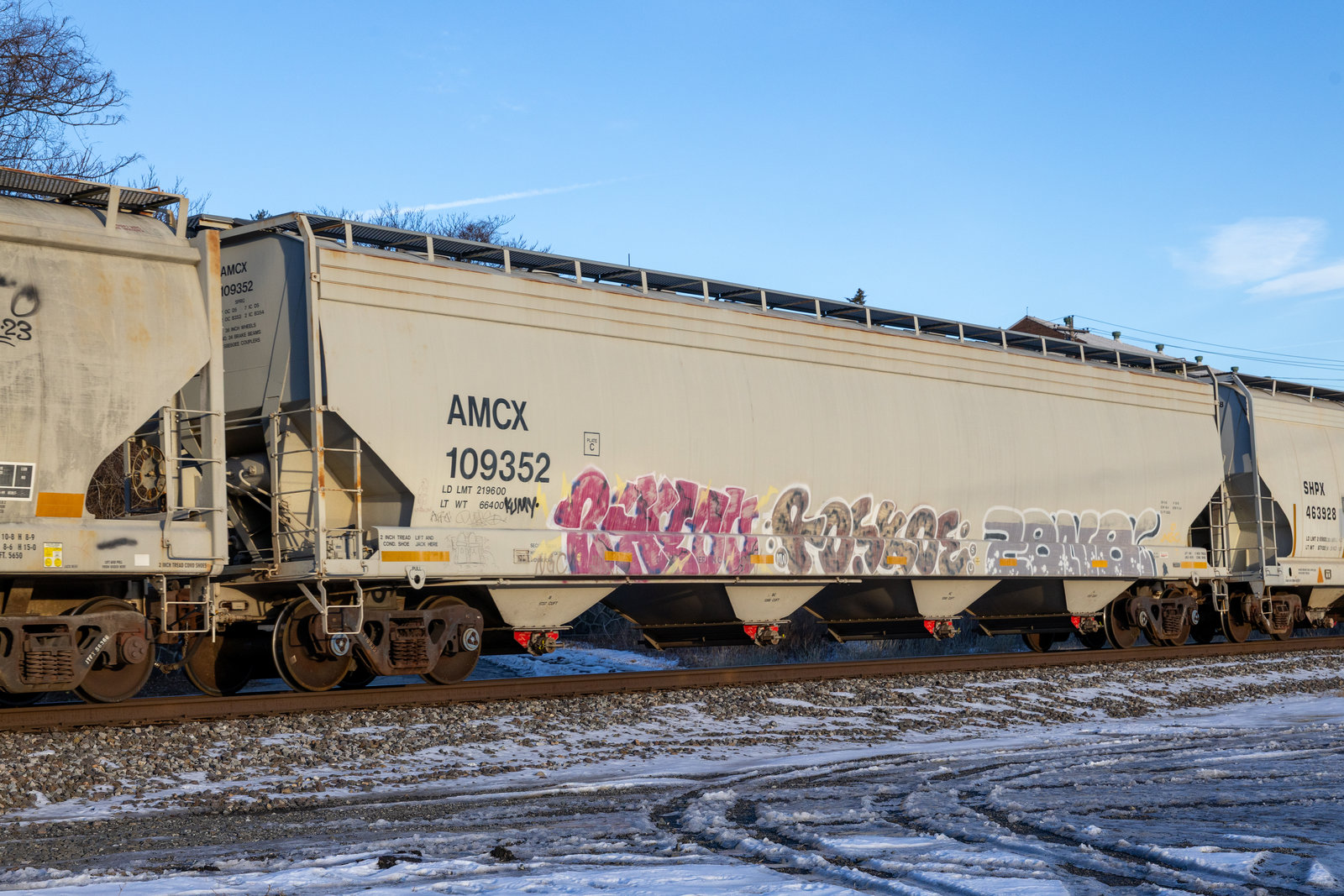 AMCX 109352