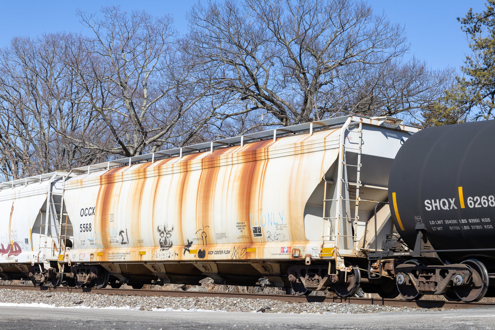 OCCX 5568
