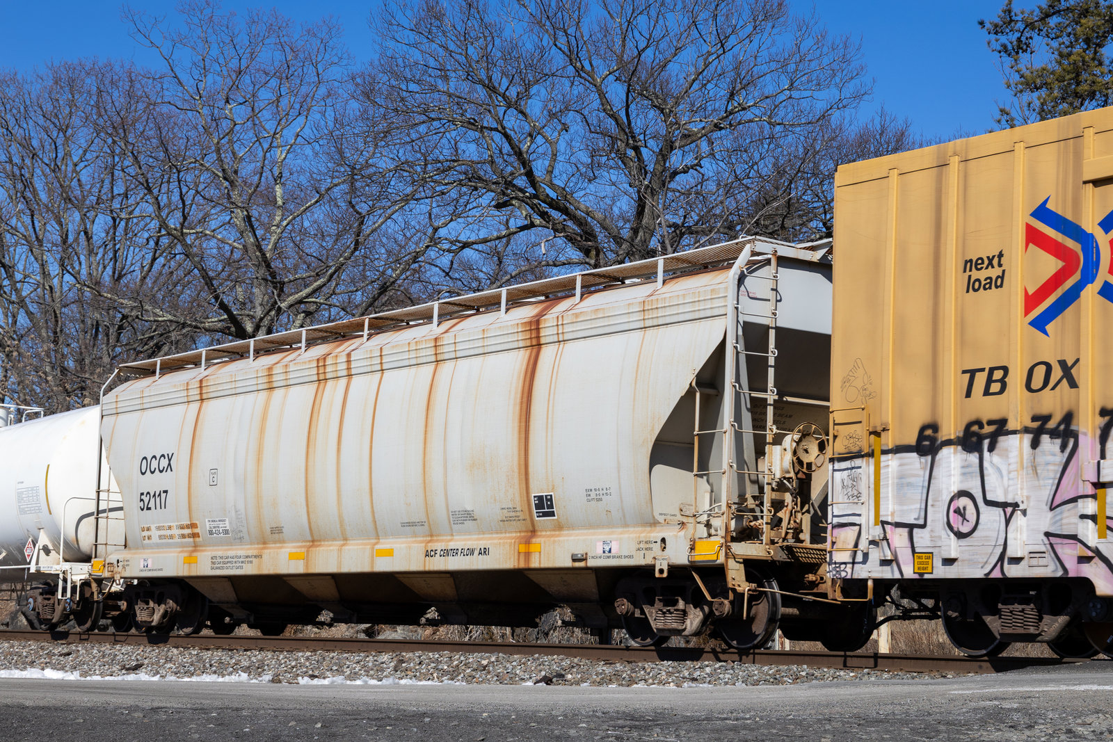 OCCX 52117