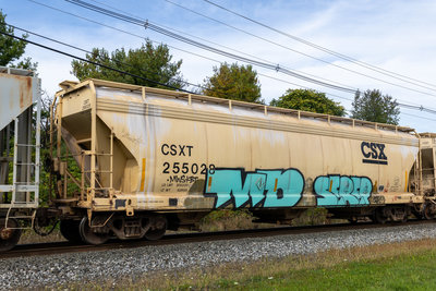 CSXT 255028