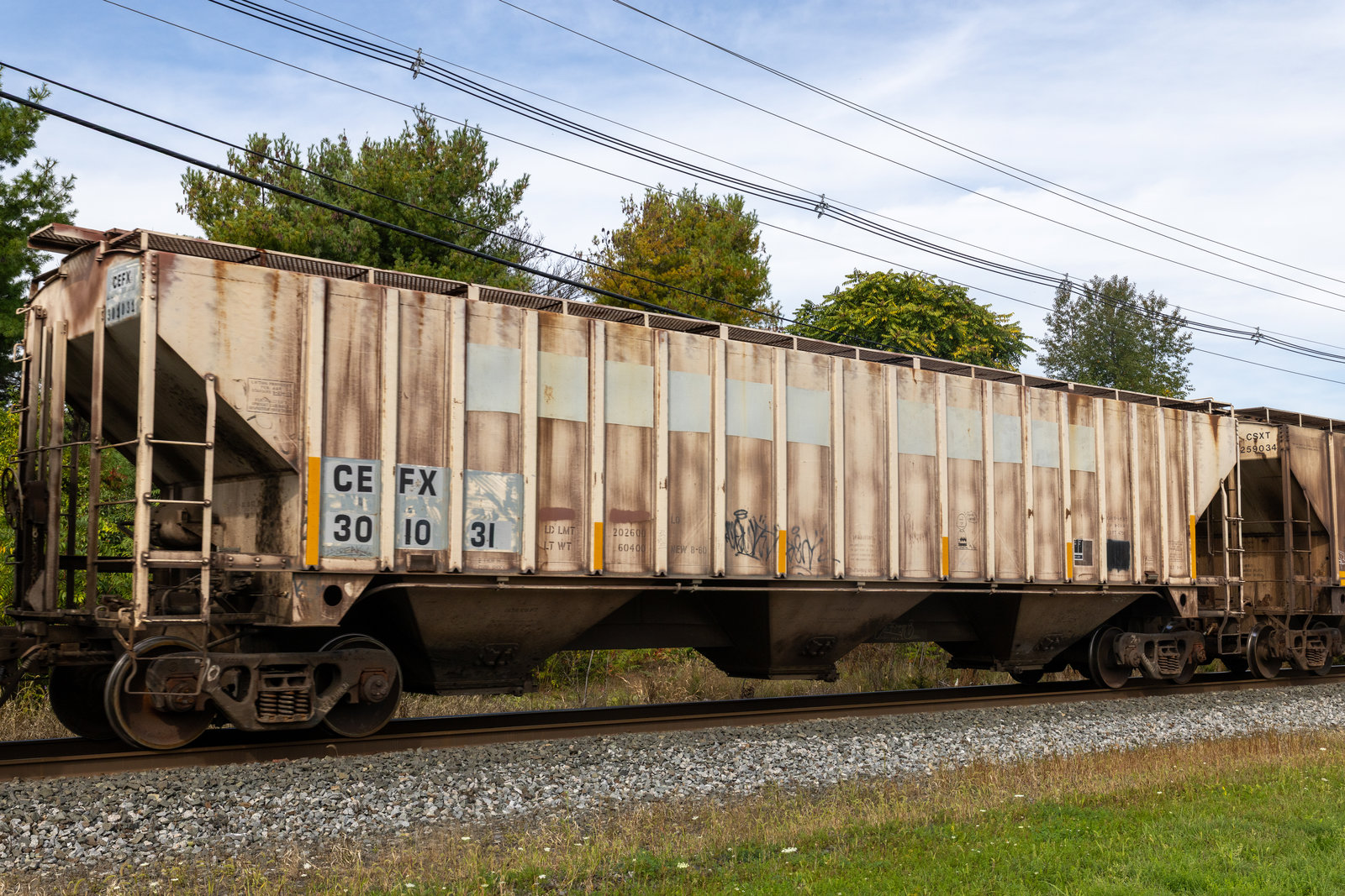 CEFX 301031