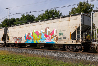 DOWX 20496