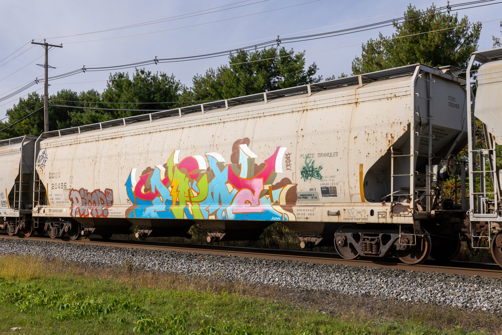 DOWX 20496