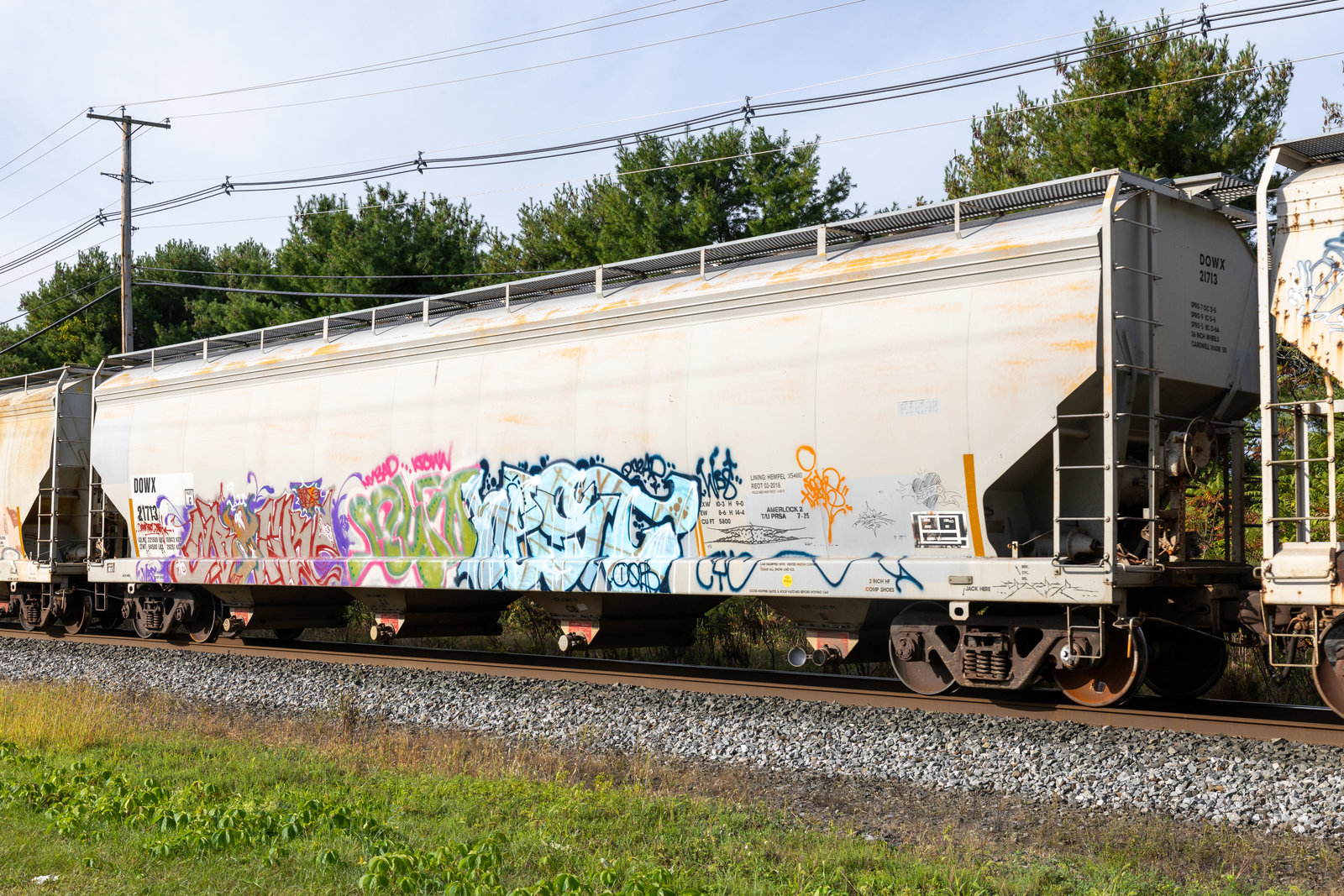 DOWX 21713