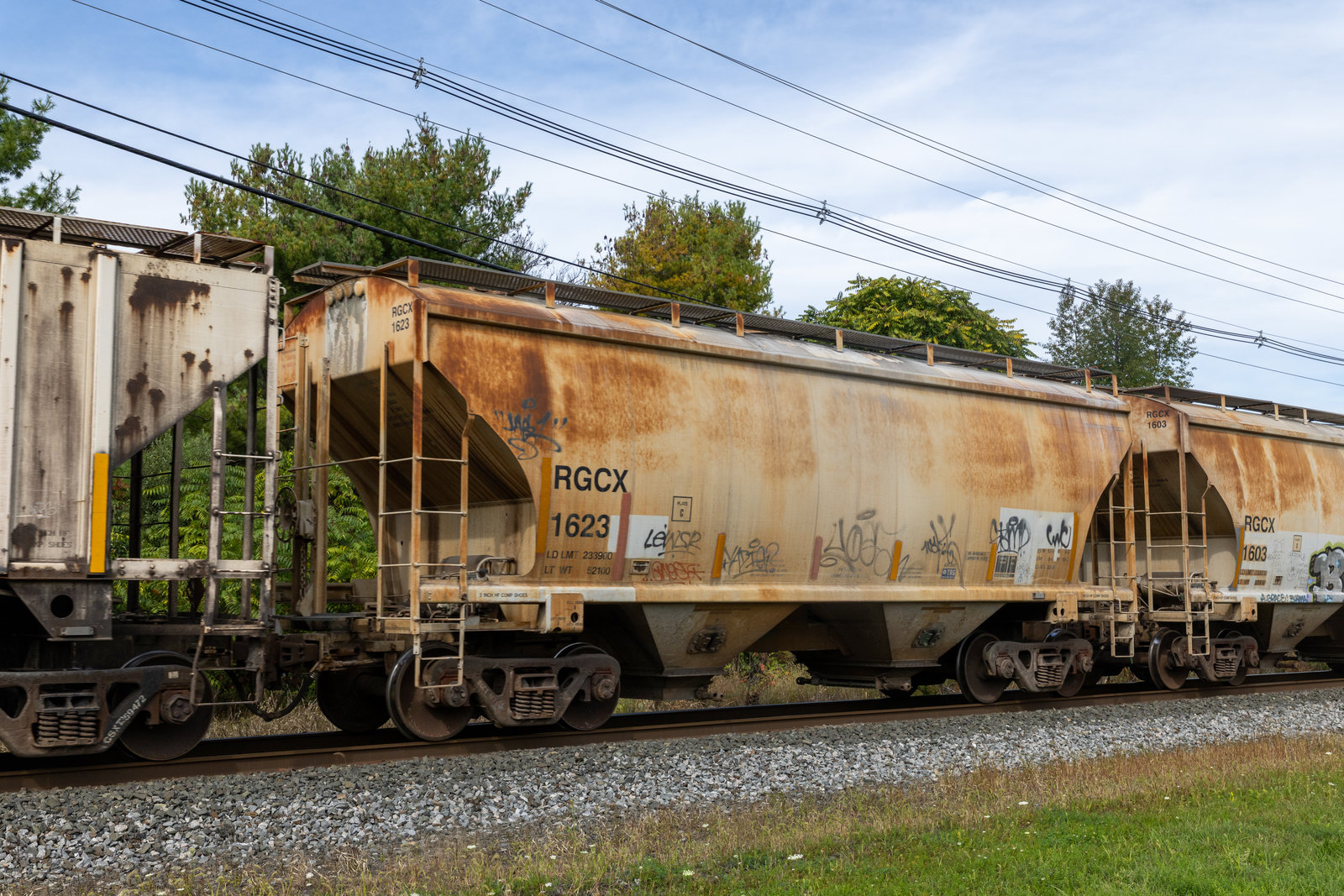 RGCX 1623