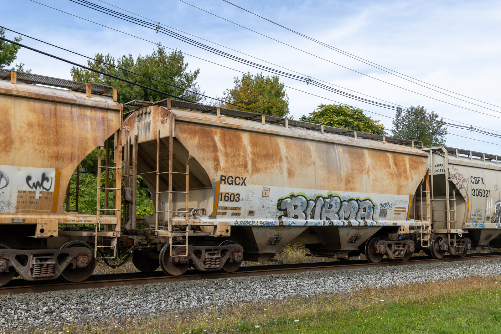 RGCX 1603