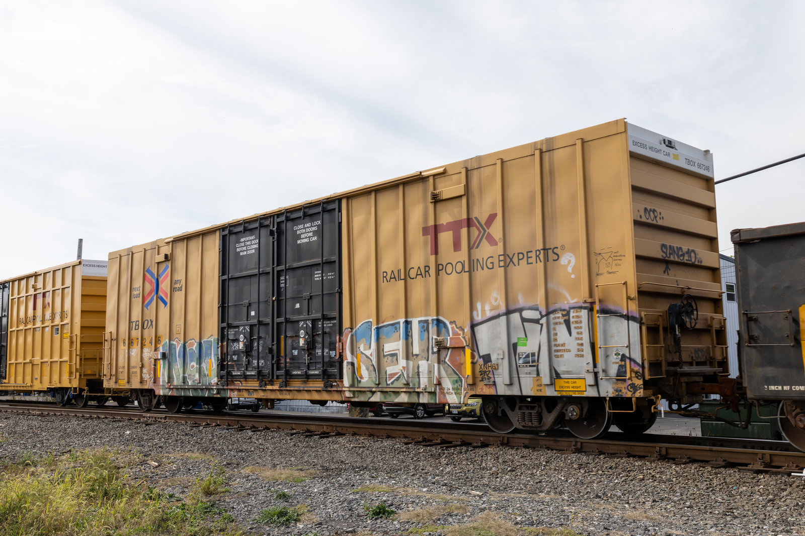 TBOX 667246