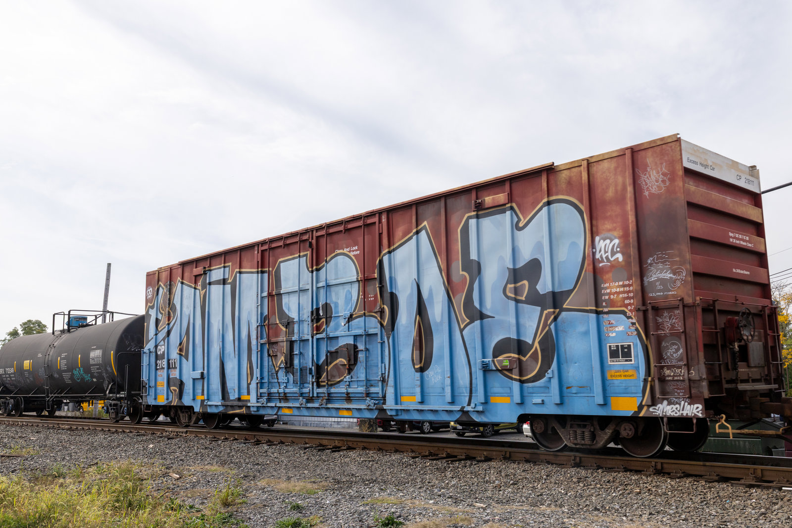 CP 218111