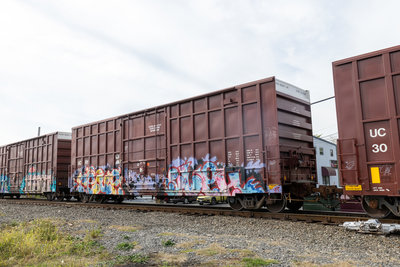 UCRY 300124