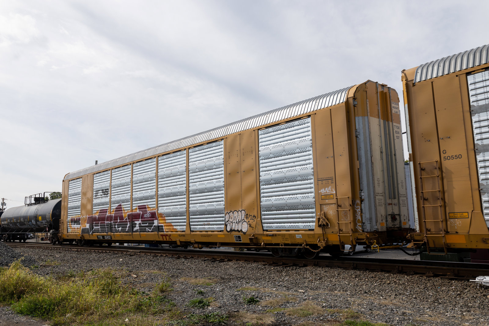 TTGX 824137