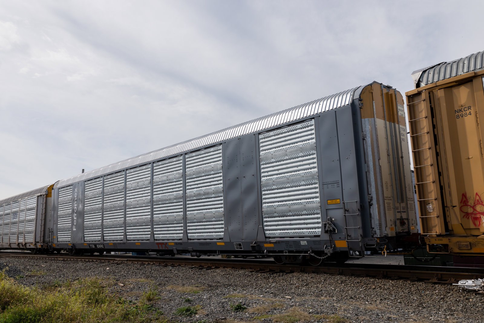 TTGX 824742