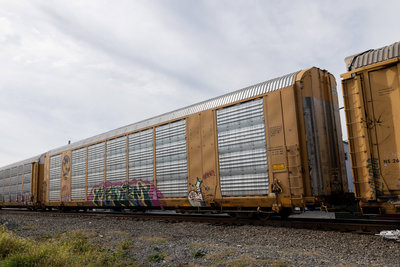 TTGX 697873