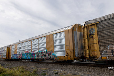 TTGX 824183