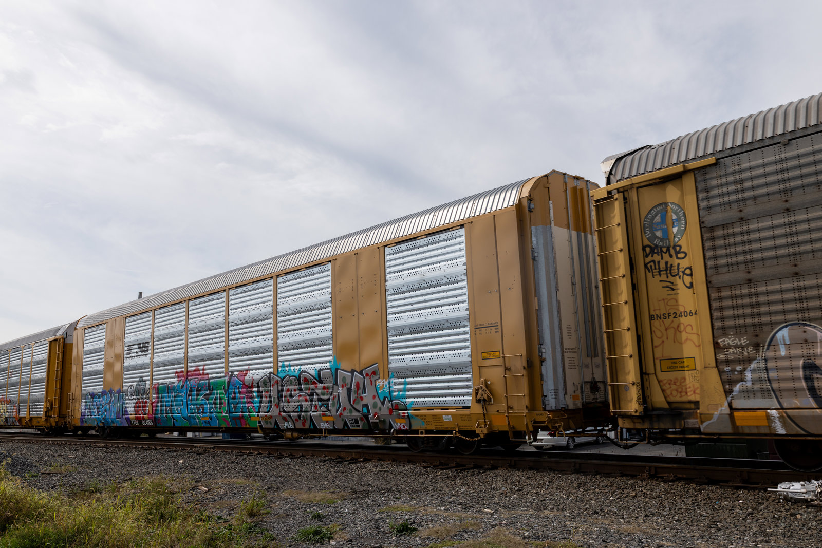 TTGX 824183