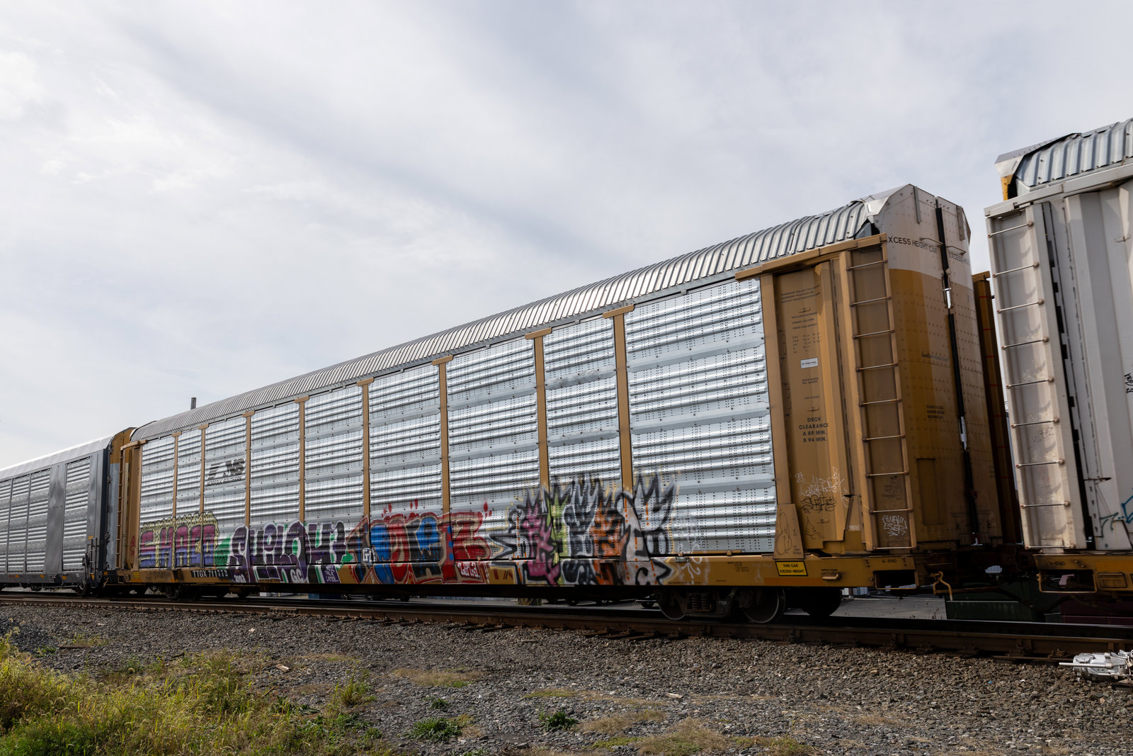 TTGX 711772