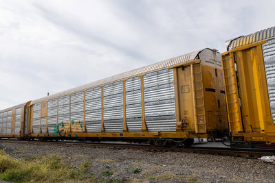 TTGX 973801