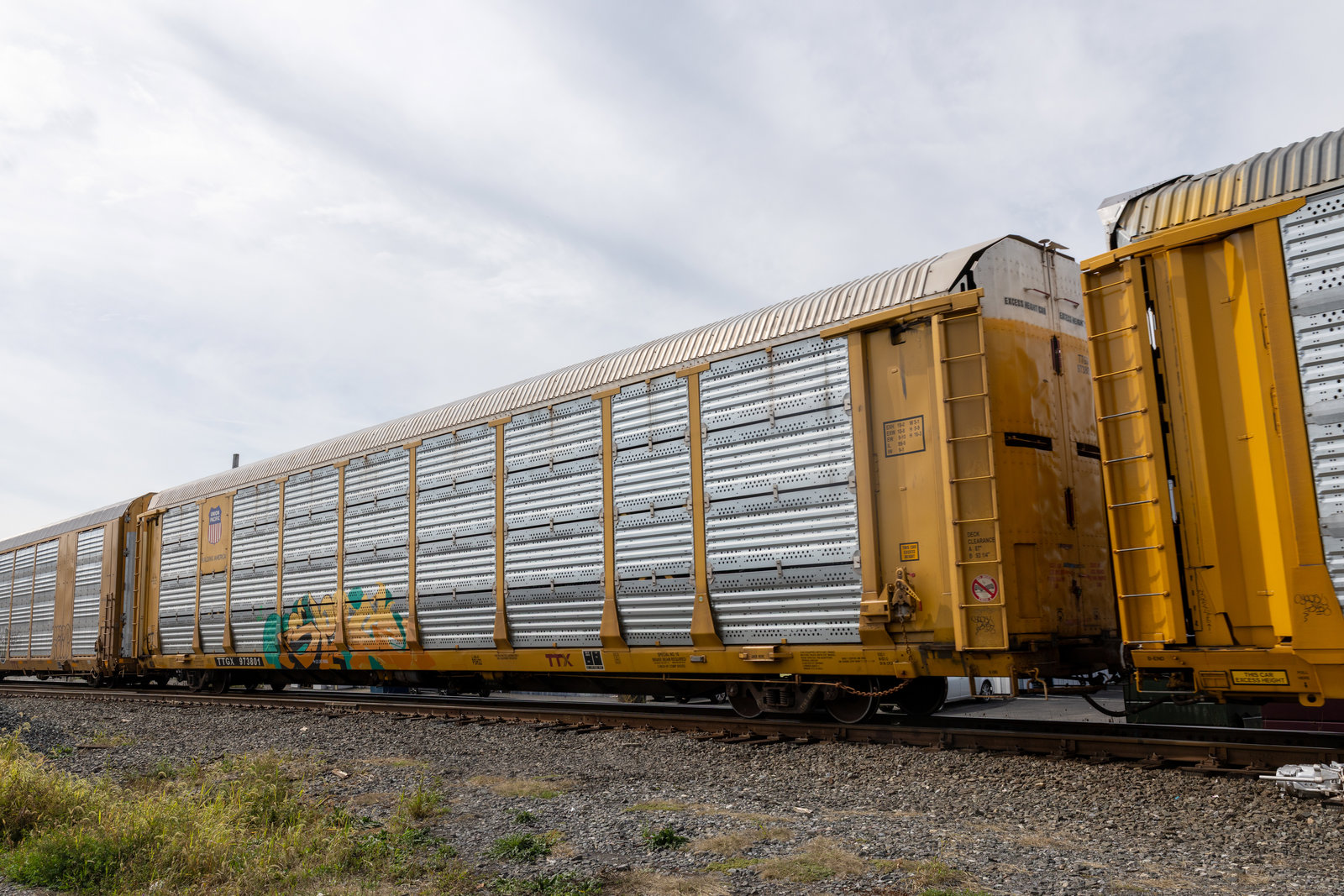 TTGX 973801