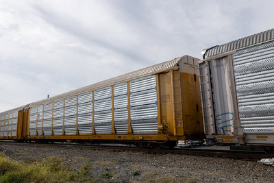 TTGX 159584