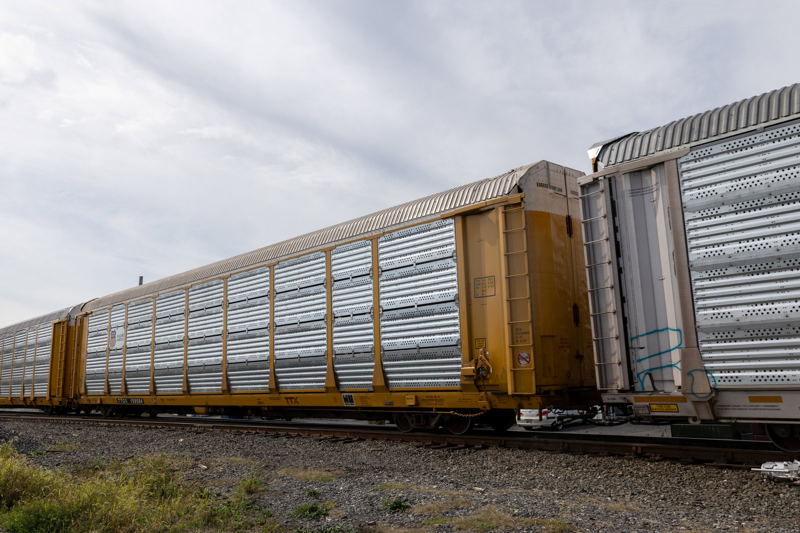 TTGX 159584