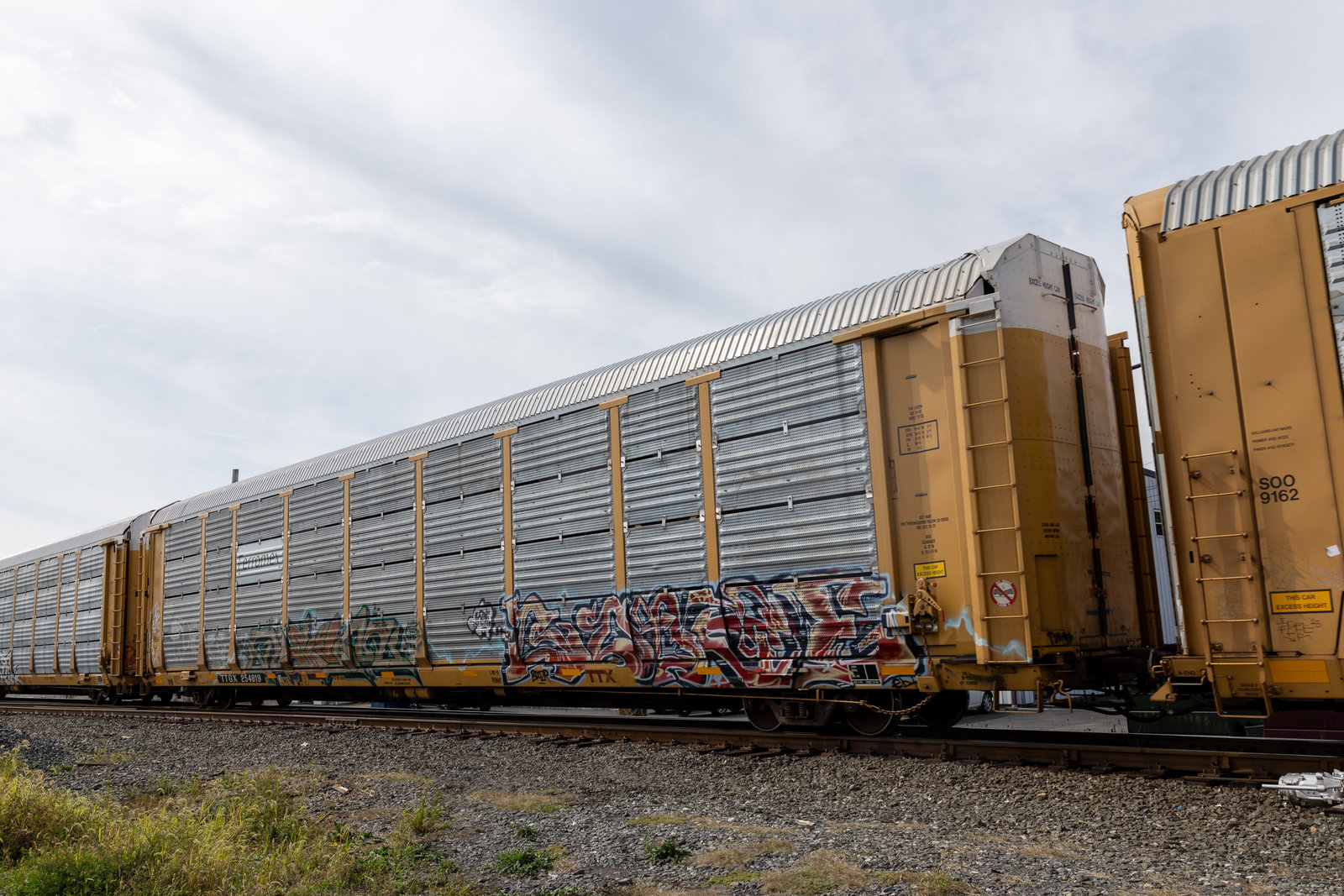 TTGX 254819
