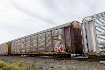 TTGX 981311
