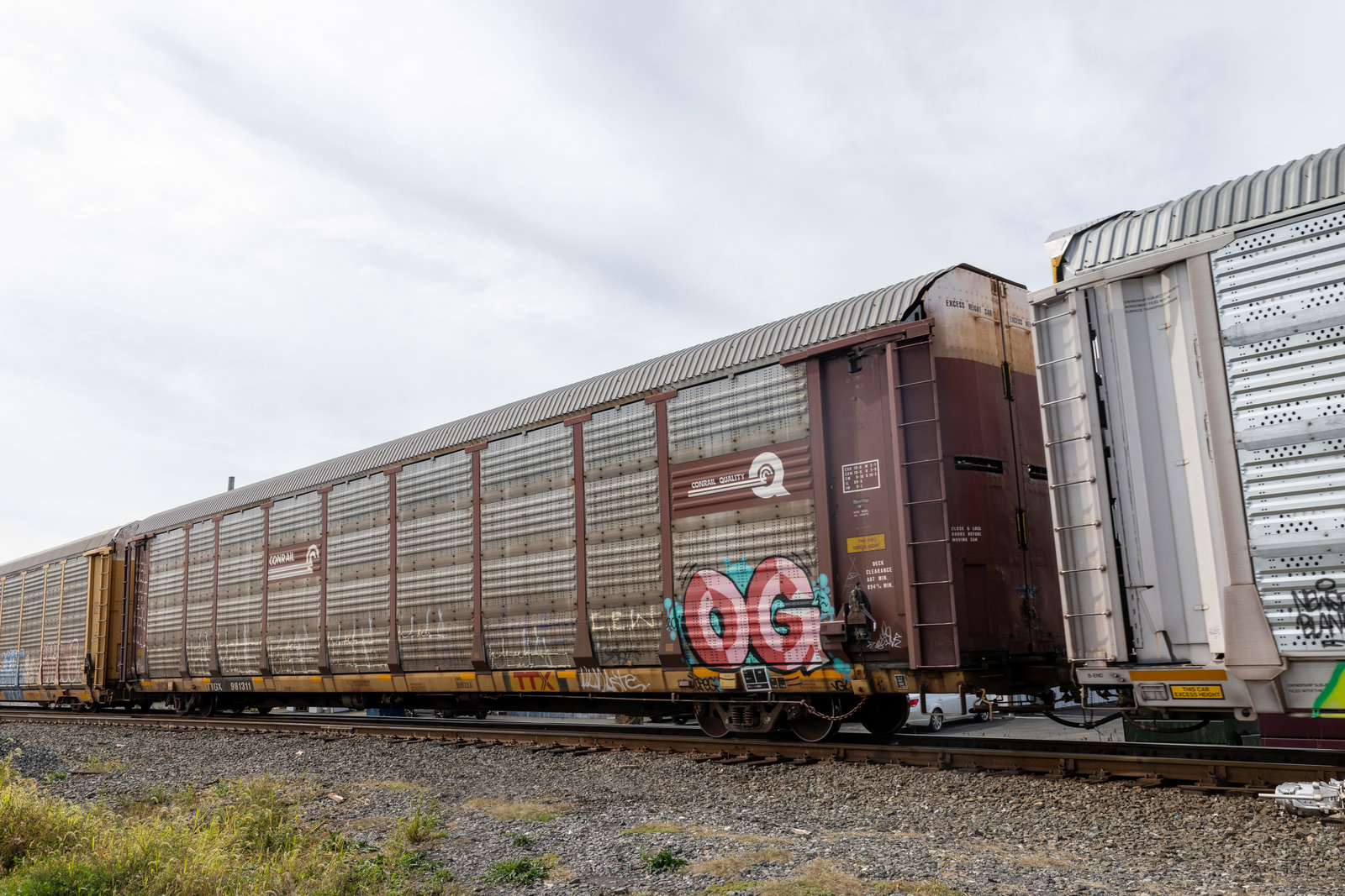 TTGX 981311