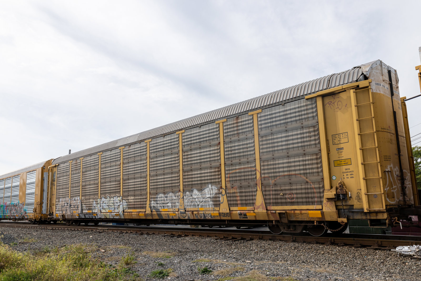 TTGX 987071