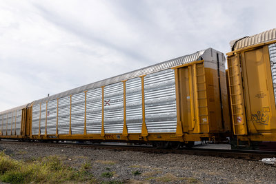 TTGX 709803
