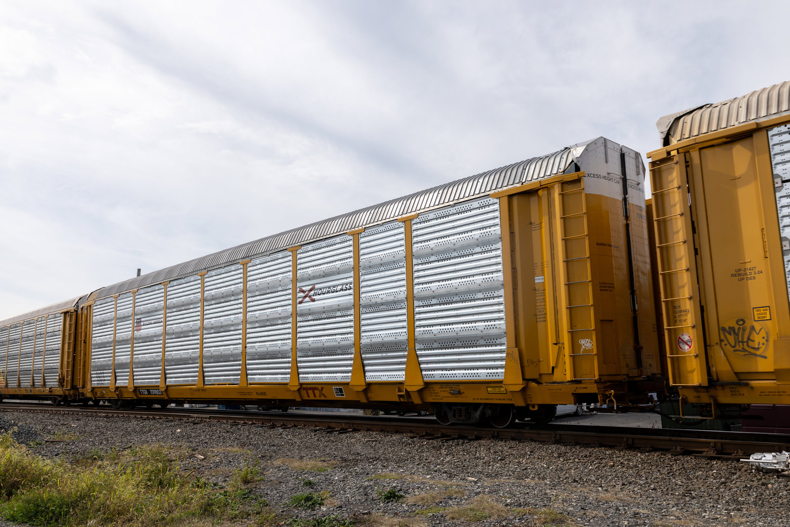 TTGX 709803